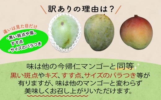 【訳あり　限定500セット】【生産者応援】緑のキーツマン