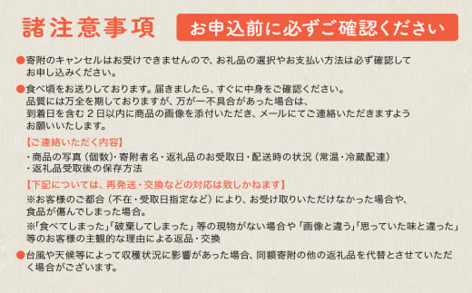 今帰仁マンゴーA級１kg以上【先行予約】【2026年6月中旬～8