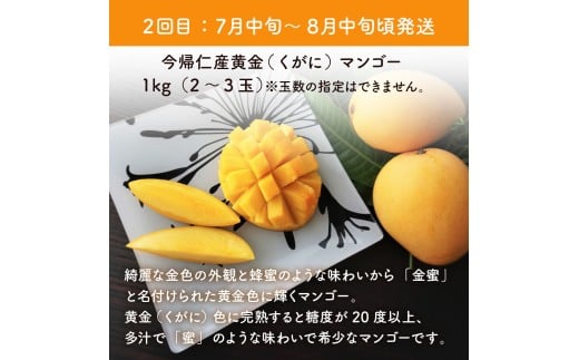 【お試し定期便】稀少3色マンゴー食べ比べセット（赤・黄