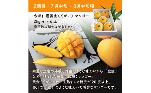 【定期便】稀少3色マンゴー（赤・黄・緑）【2026年　赤：6