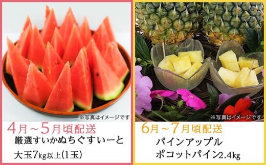 【限定50セット】2026年4月配送開始！今帰仁おすすめフルー