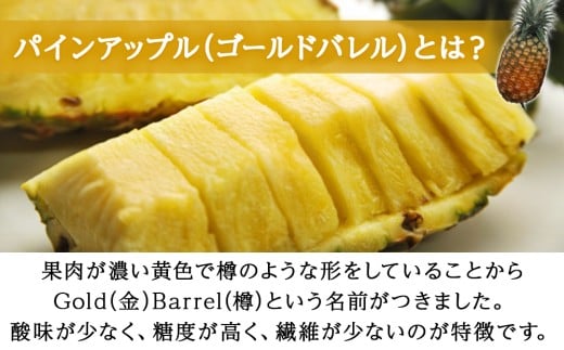 【2026年6～8月頃配送】今帰仁産パインアップル（ゴールド