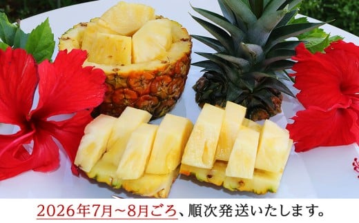 【2026年7月～8月頃配送】今帰仁産パインアップル（サンド