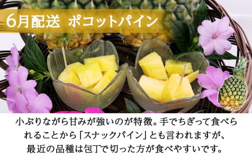 【定期便　限定100セット】今帰仁産パインアップル3種味比