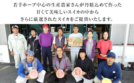 【JAおきなわ】厳選すいか！ぬちぐすいーと　大玉７kg以上