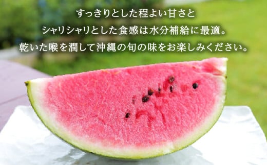 【（有）今帰仁すいか】春のスイカ　4.5kg【2026年3月下旬～5