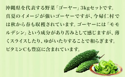 今帰仁ゴーヤー3kg【10月～4月頃お届け】