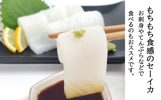 まんぷく海人セット（シャコ貝・ソデイカ・アーサー）各2