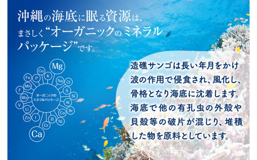 すぐに作れる天然のミネラルウォーター  サンゴメイド　コ