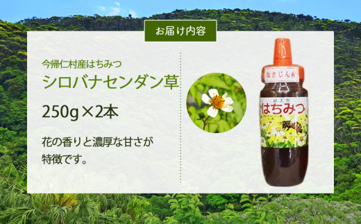 沖縄県産　純天然はちみつ（シロバナセンダン草　2本入り