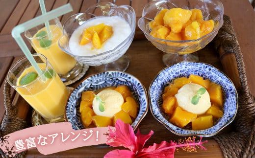 はしっこ冷凍マンゴー（アーウィン）1.2kg（400g×3）【訳あ