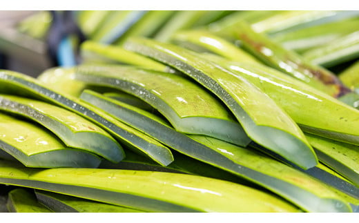 【葉肉なし】有機アロエベラ・ドリンク  パウチタイプ６個