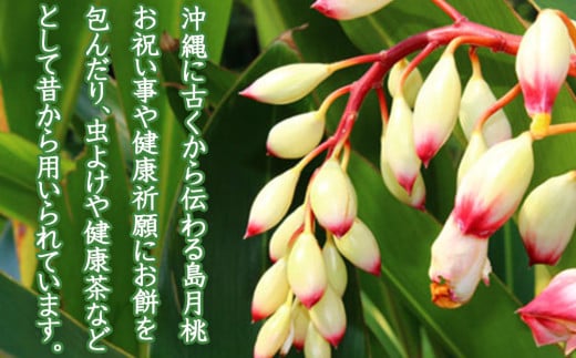 ハーブウォーター（蒸留水）月桃の香り3本セット