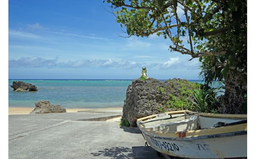 歴史と自然を体感！（今泊集落・フクギ並木の散策コース