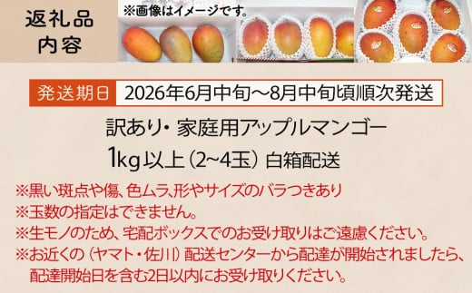【訳あり・家庭用】【生産者応援】限定500セット　今帰仁