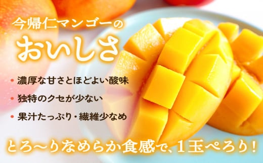 今帰仁マンゴーA級2kg以上【先行予約】【2026年6月中旬～8月