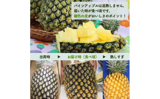 【2026年6～8月頃配送】【限定70箱】今帰仁産パインアップル