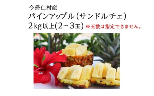 【2026年7月～8月頃配送】今帰仁産パインアップル（サンド