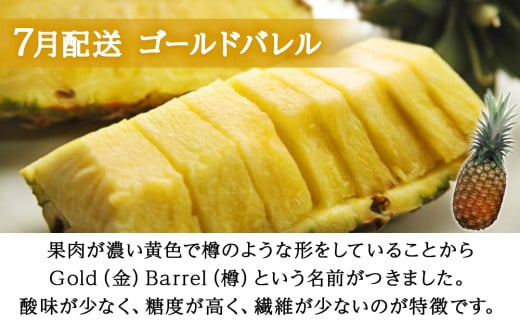 【定期便　限定100セット】今帰仁産パインアップル3種味比