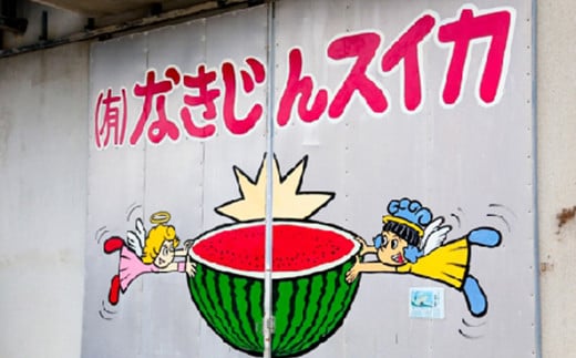 【（有）今帰仁すいか】春のスイカ　4.5kg【2026年3月下旬～5