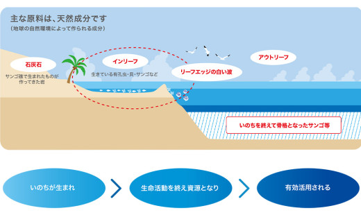すぐに作れる天然のミネラルウォーター  サンゴメイド　コ