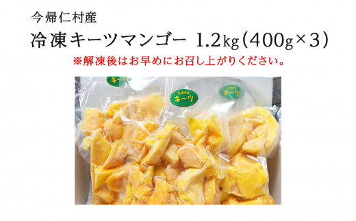 はしっこ冷凍マンゴー（キーツ）1.2kg（400g×3）【訳ありお