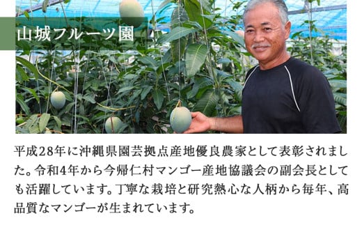 急速冷凍カットマンゴー　金蜜300g×２（限定50セット）【沖