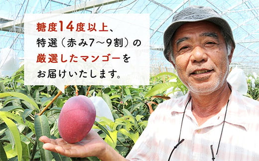 【限定20セット】今帰仁マンゴー「匠」2kg【2026年6月下旬～7