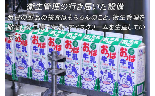 おっぱのおきなわンじぇら～と　バラエティーセット（１2