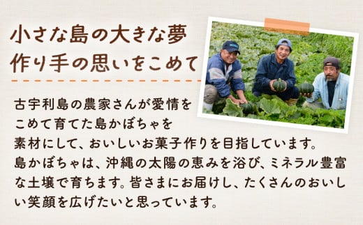 古宇利島かぼちゃ工房　島かぼちゃのカボニー(20個入)