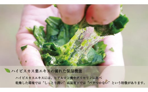 ハイビスカス　シャンプー3本セット