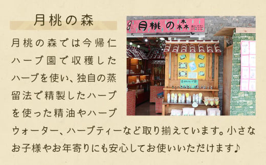 今帰仁産パパイヤ茶　ティーバッグ8包×5袋
