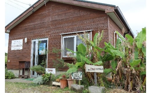 芭蕉紙紅型染「沖縄の花」シリーズ〈イッペー〉37ｃｍ額