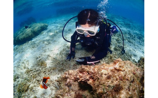 ビーチ体験ダイビング！1ビーチ2名様