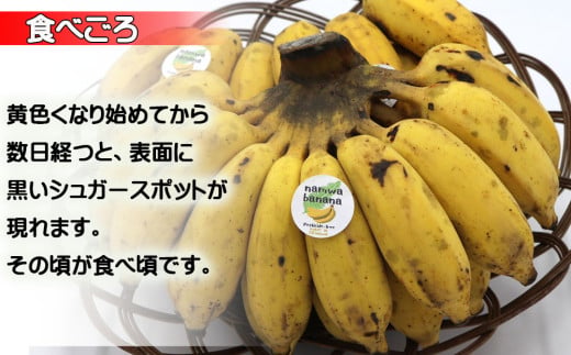 今帰仁村産ナムワバナナ（農薬不使用）2kg