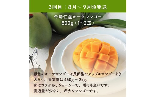 【お試し定期便】稀少3色マンゴー食べ比べセット（赤・黄