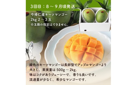 【定期便】稀少3色マンゴー（赤・黄・緑）【2026年　赤：6