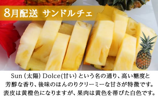 【定期便　限定100セット】今帰仁産パインアップル3種味比