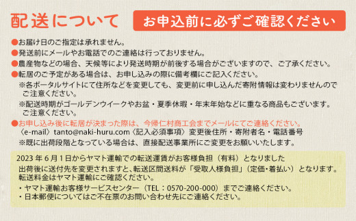 【JAおきなわ】厳選すいか！ぬちぐすいーと　大玉７kg以上
