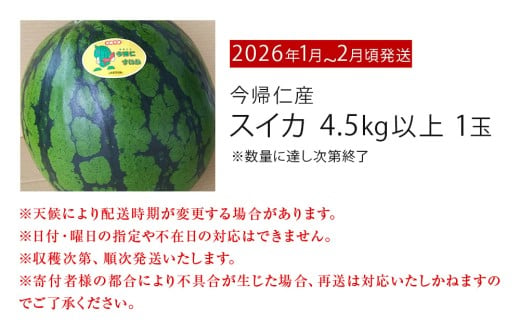 先行予約【JAおきなわ】厳選すいか！ぬちぐすいーとwinter　