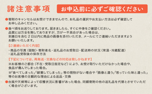 【限定50箱】比嘉さん家の千なりマンゴー(特選・1kg)【2026年