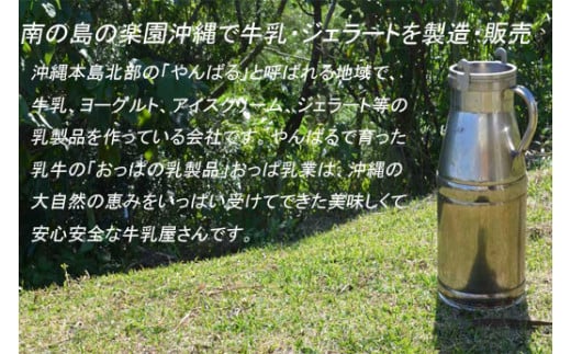 おっぱのおきなわンじぇら～と　バラエティーセット（１2