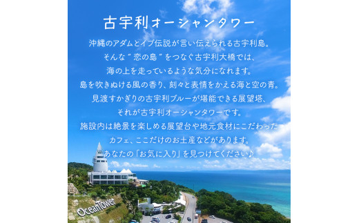 古宇利島かぼちゃ工房　島かぼちゃのカボニー(20個入)