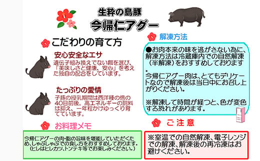 令和7年1月発送　産直「今帰仁アグー」生産者おすすめセッ