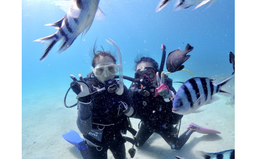 PADI オープンウォーターダイバー（OWD）取得コース 1名様※