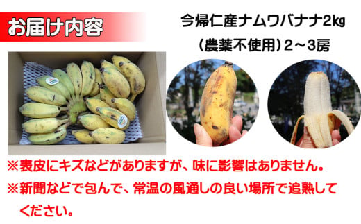 今帰仁村産ナムワバナナ（農薬不使用）2kg