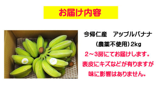 今帰仁村産アップルバナナ（農薬不使用）2kg