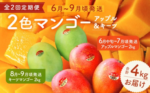 【定期便】今帰仁2色マンゴー（赤・緑）【先行予約】【2026
