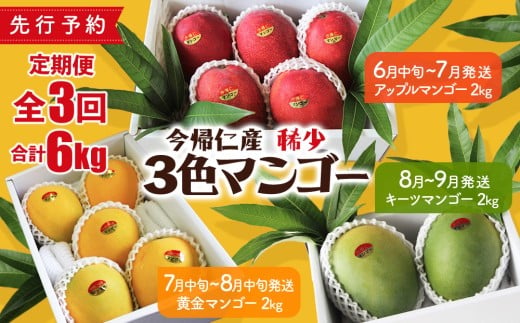 【定期便】稀少3色マンゴー（赤・黄・緑）【2026年　赤：6