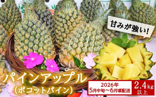 【先行予約】【2026年5月中旬～6月頃配送】今帰仁産パイン